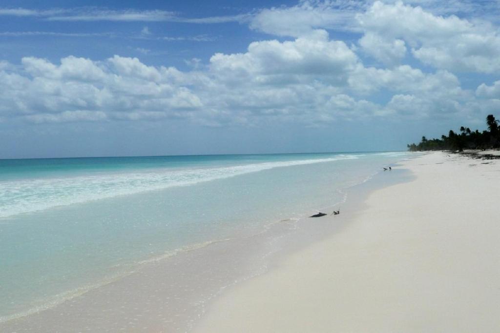 Casa Pelicanos Tulum Beach Mx - Next To Hotel Zone Exterior foto